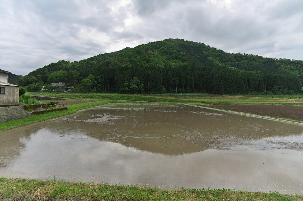 田んぼの代掻き!