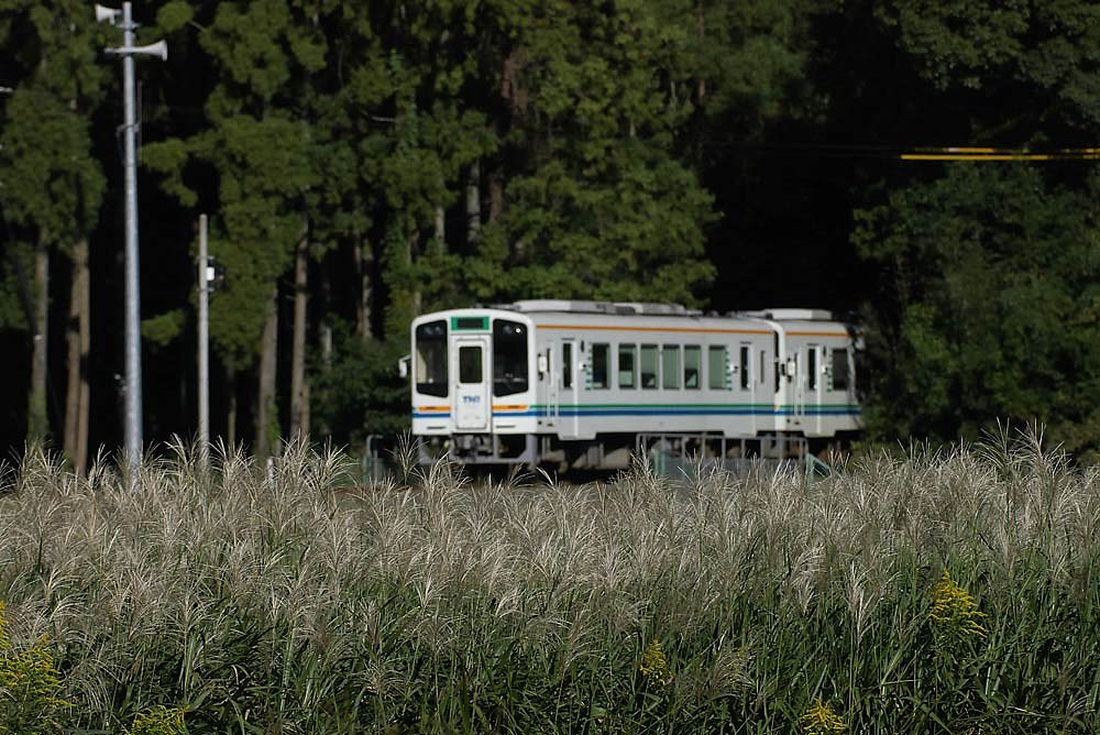 ススキの中を・・