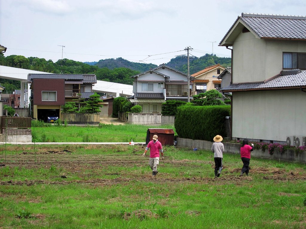休耕田
