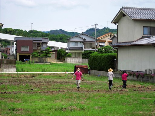 休耕田