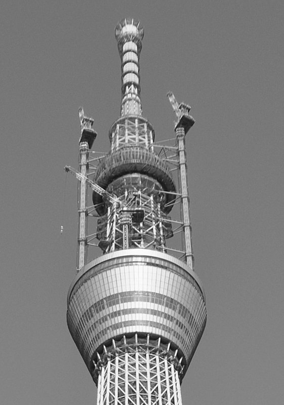 【モノクロ】５９４ｍの東京スカイツリー
