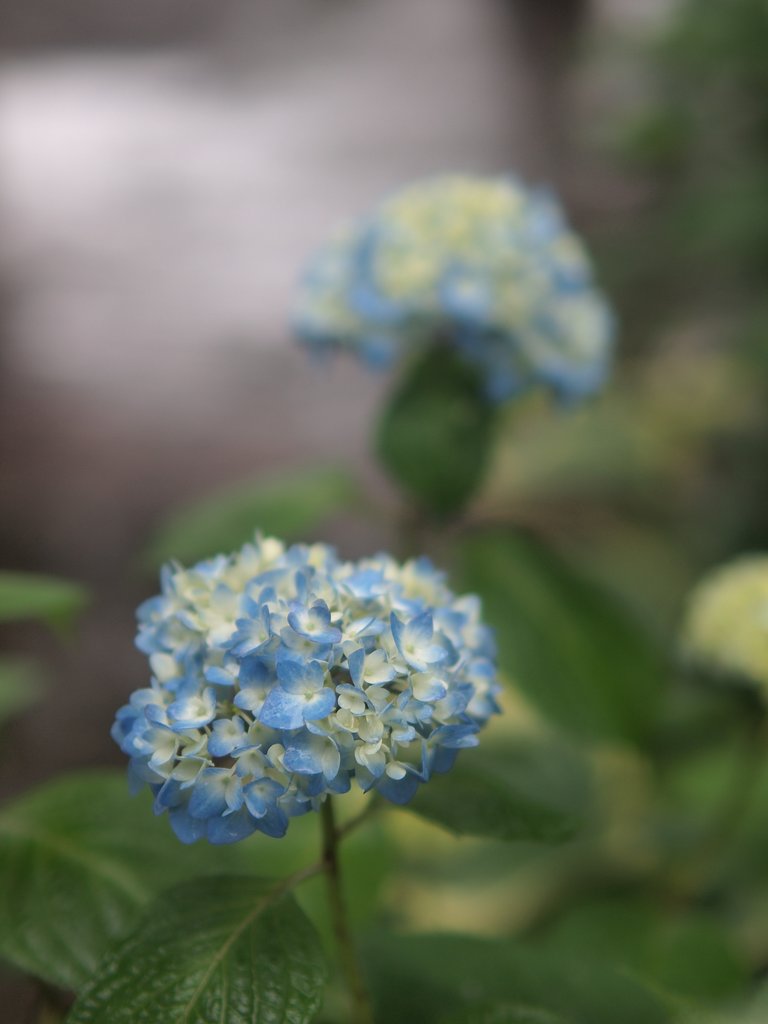 雨は友達その２