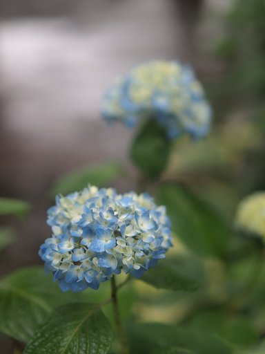 雨は友達その２