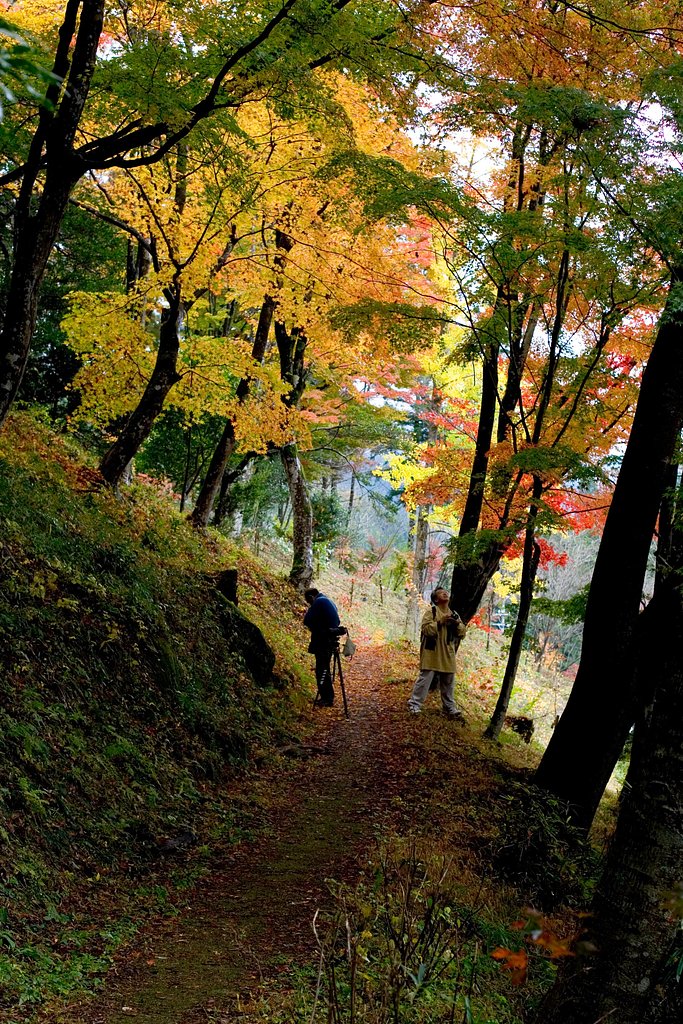 愛知県豊田市稲武