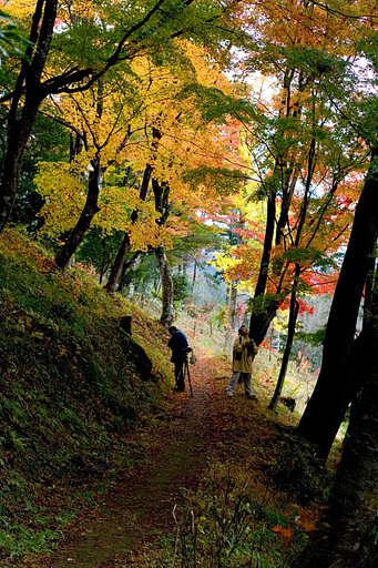 愛知県豊田市稲武