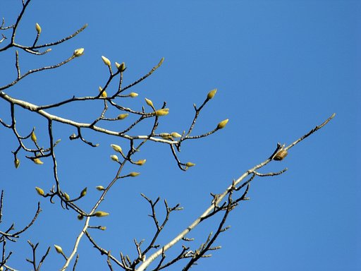 春は確実に