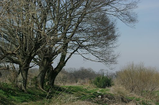 河川敷