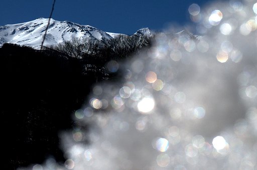 汚れた雪も撮りよで・・・・