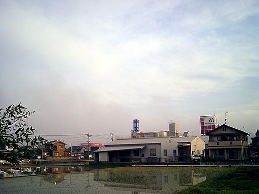 朝霧