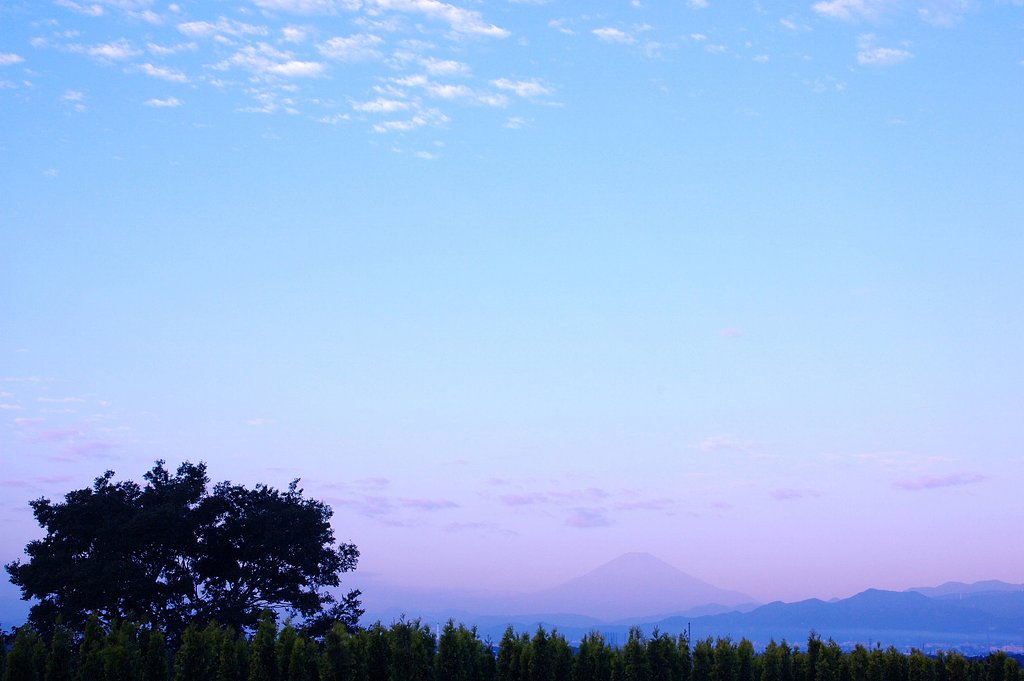 朝靄染まる