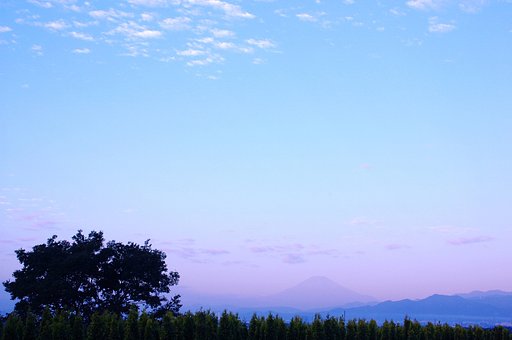 朝靄染まる
