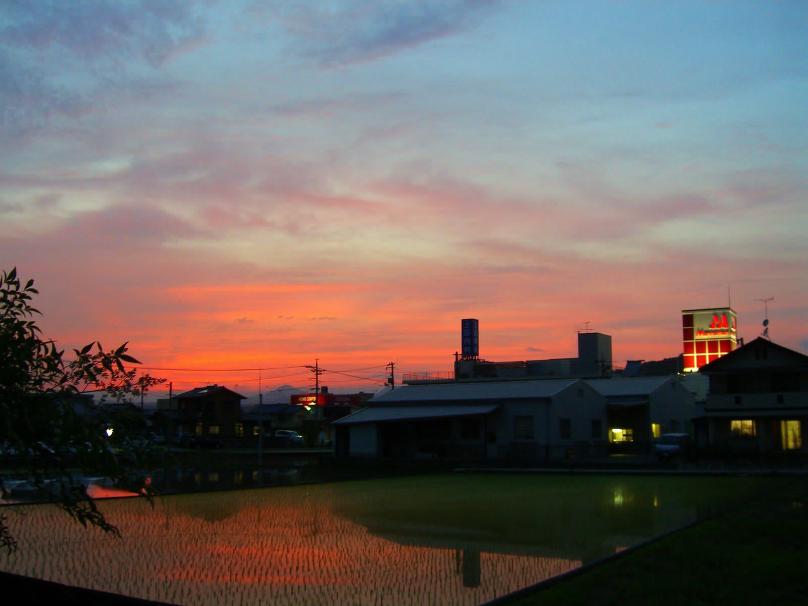 期待梨の夕焼け