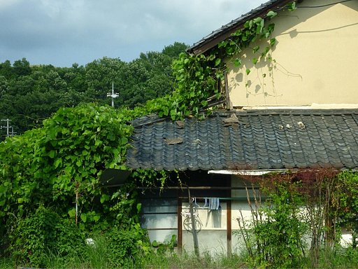 クールビズ
