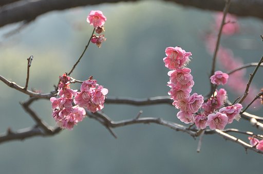 【この色好き！】陽に委ねる