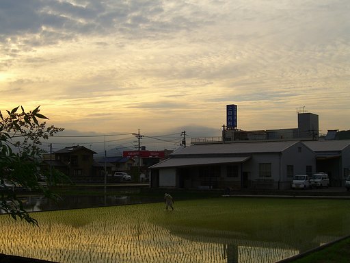 雨上がり