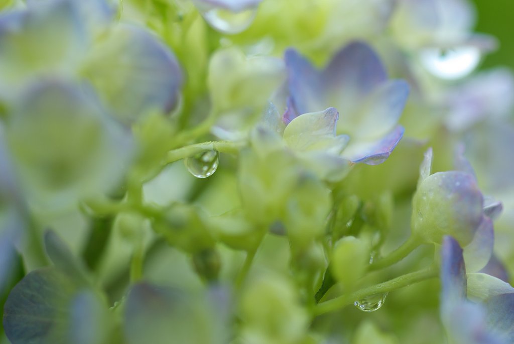 雨の合間に