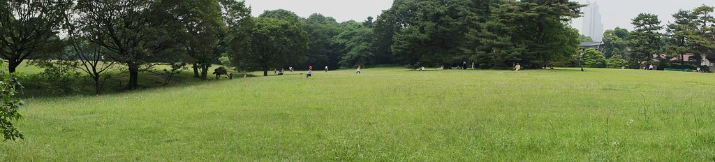 パノラマを載せてみます