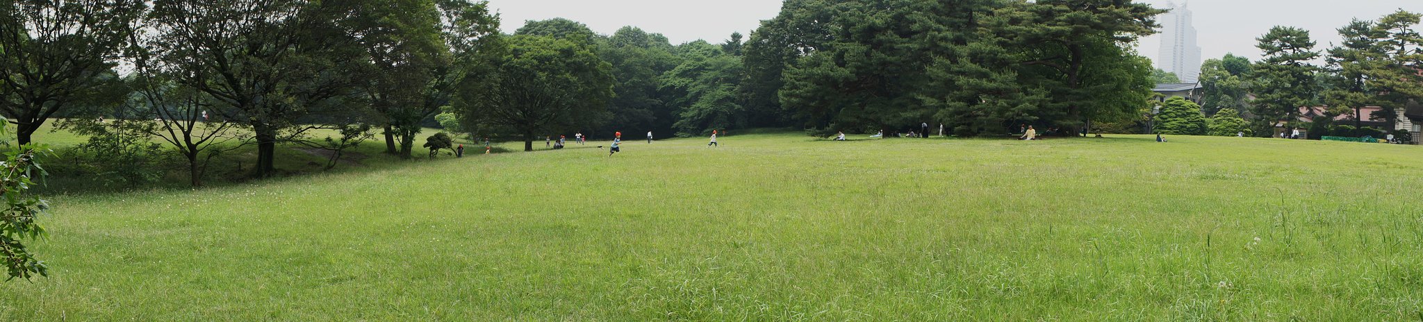 パノラマを載せてみます