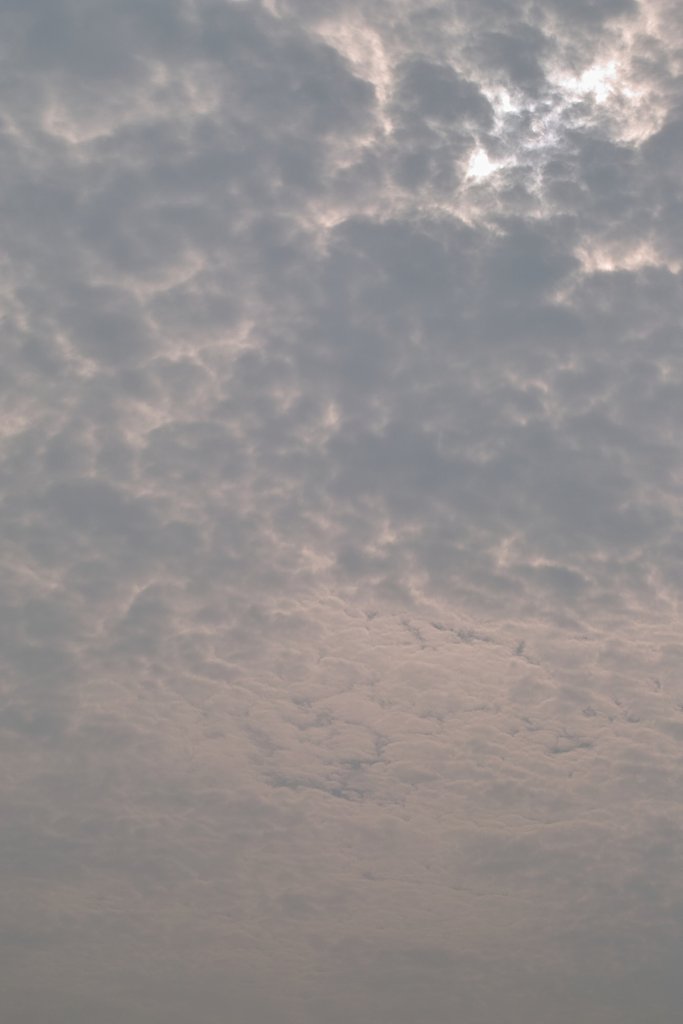 雲