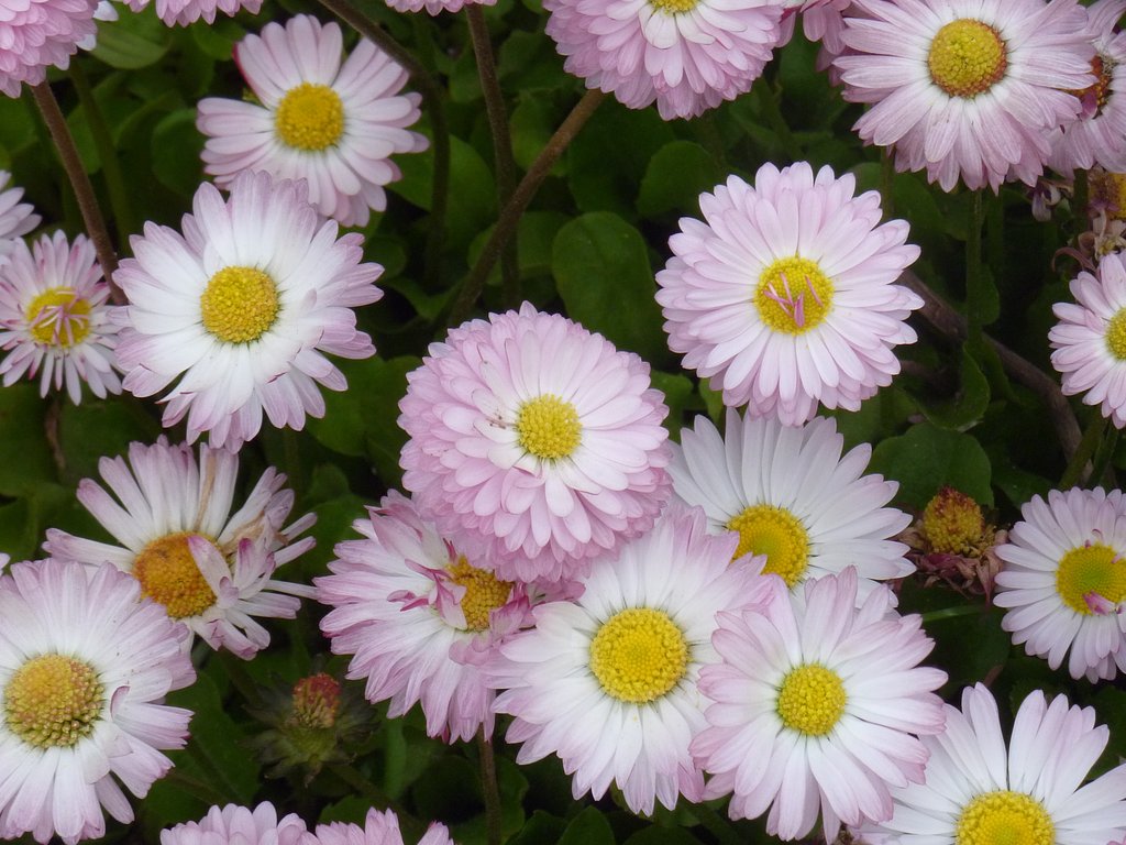 何処にでも・・・