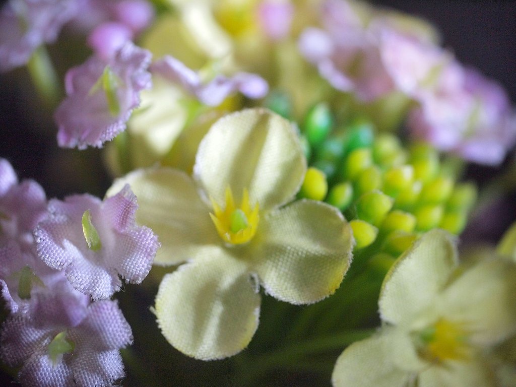 花のマイクロ