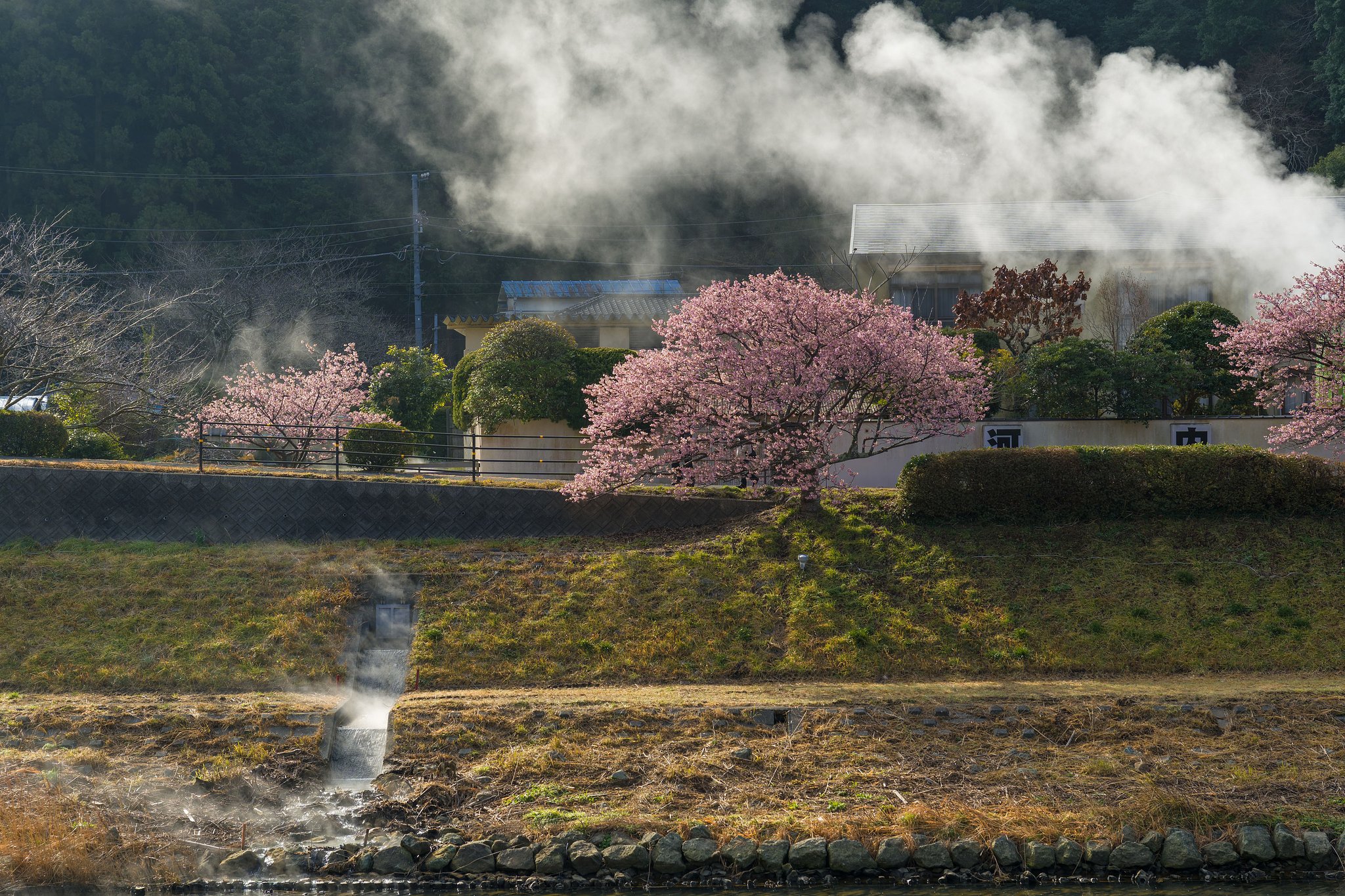 朝の空気感