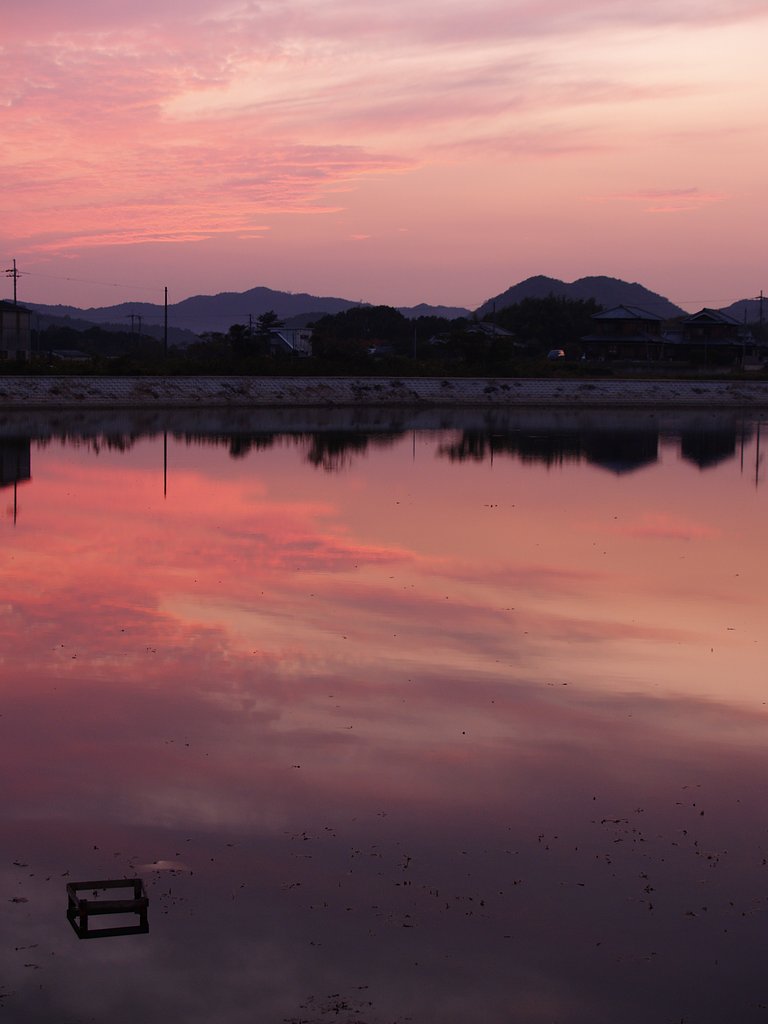 【S】鳥休む池の夕暮れ