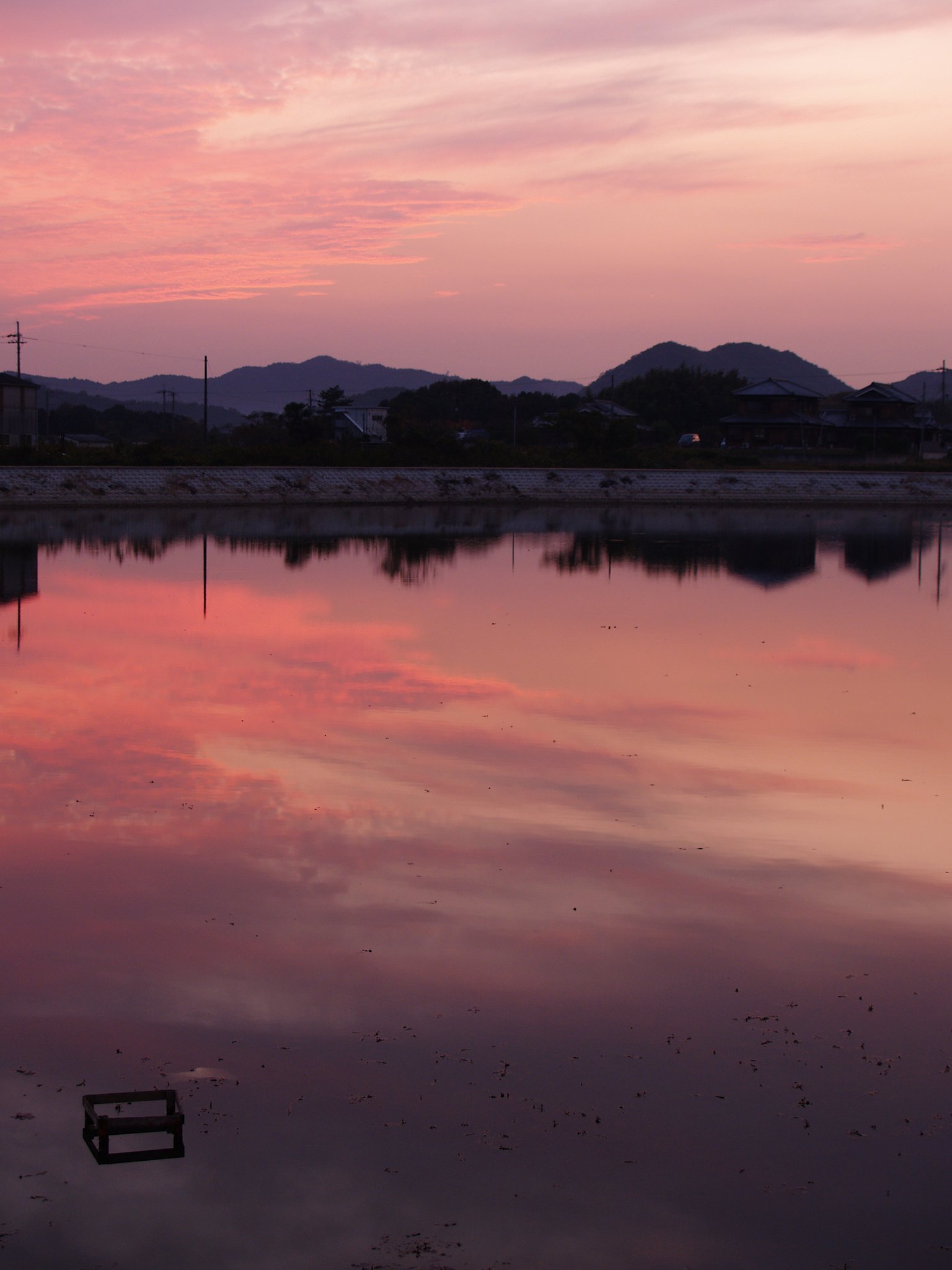【S】鳥休む池の夕暮れ