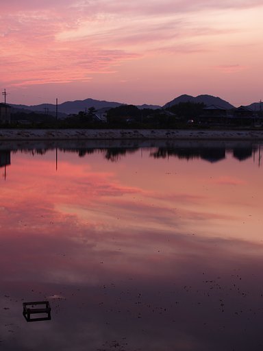 【S】鳥休む池の夕暮れ