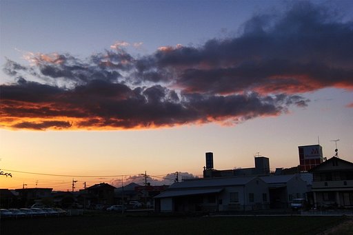 定点観測
