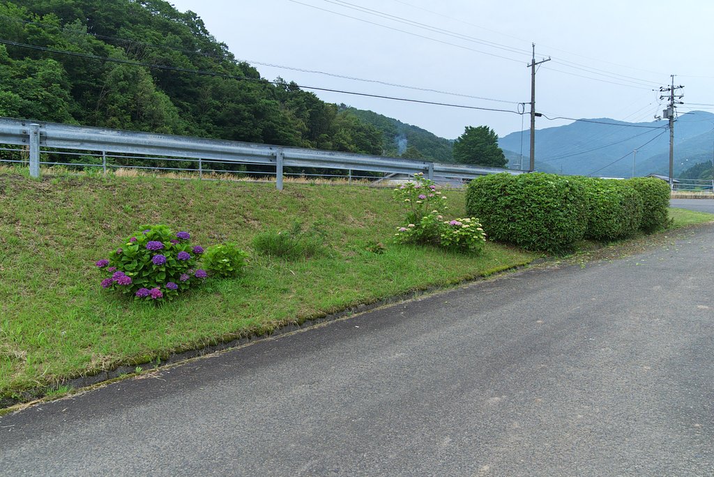 バス停付近のヒラトツツジを剪定。