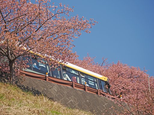 まつだ桜まつり