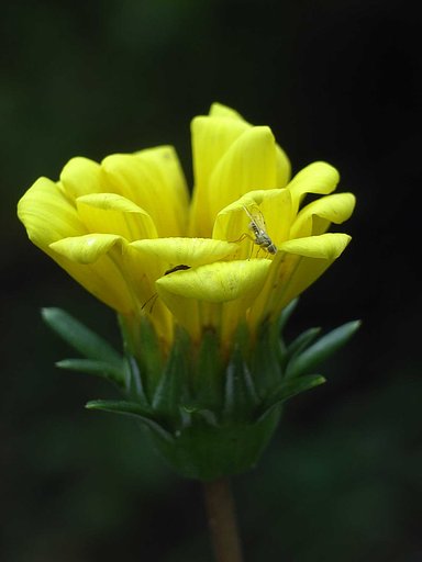 【縦撮り】開けない