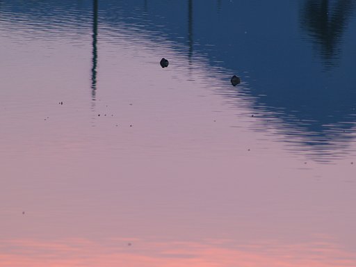 池も たそがれ時