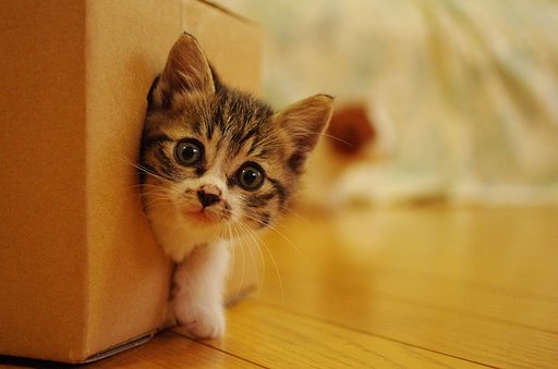 ひょいっと