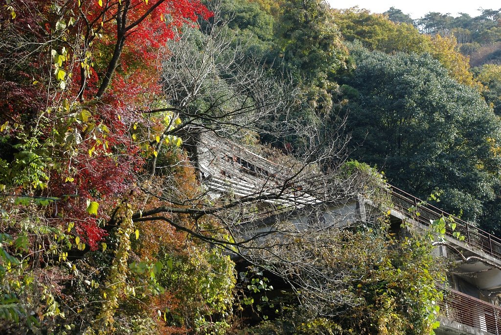 埋もれていく廃屋