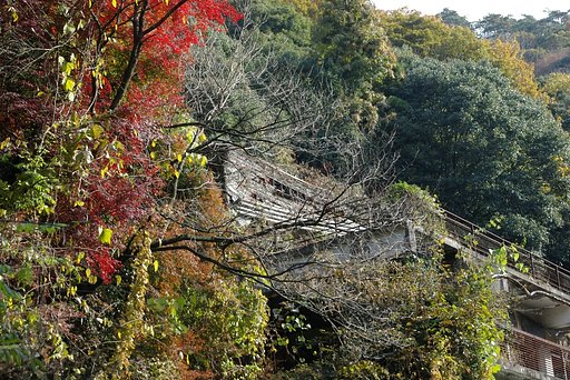 埋もれていく廃屋