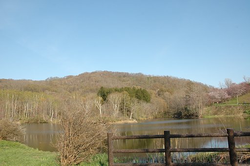 風景