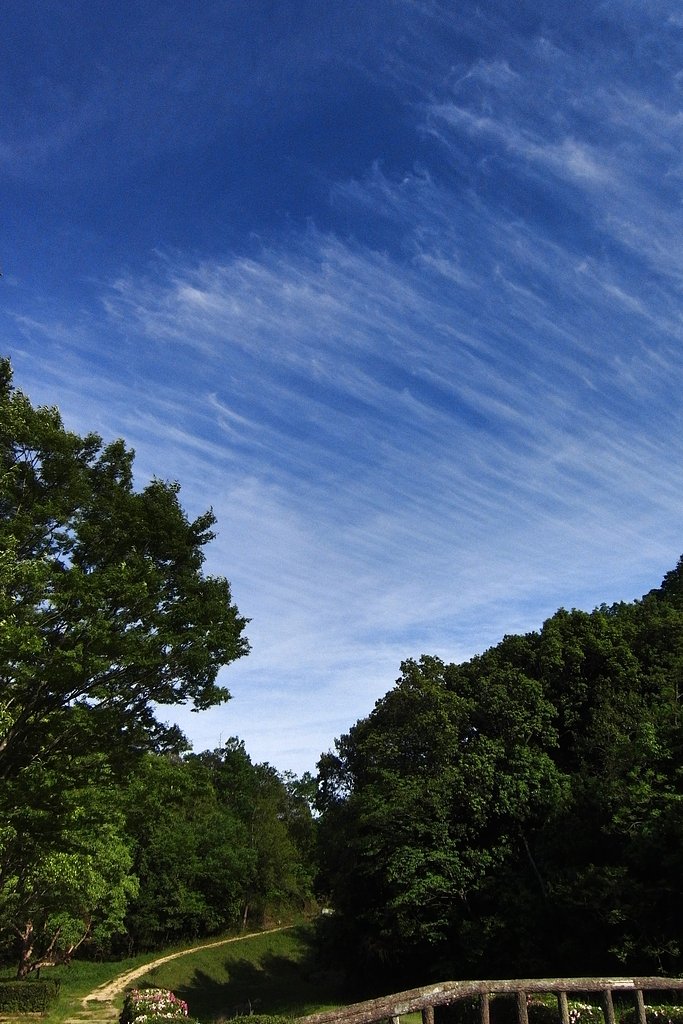 青空