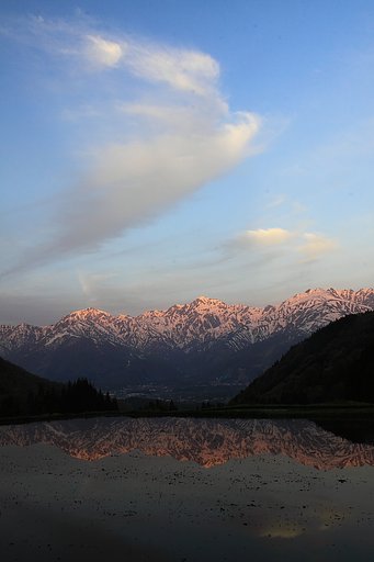 朝の贈り物