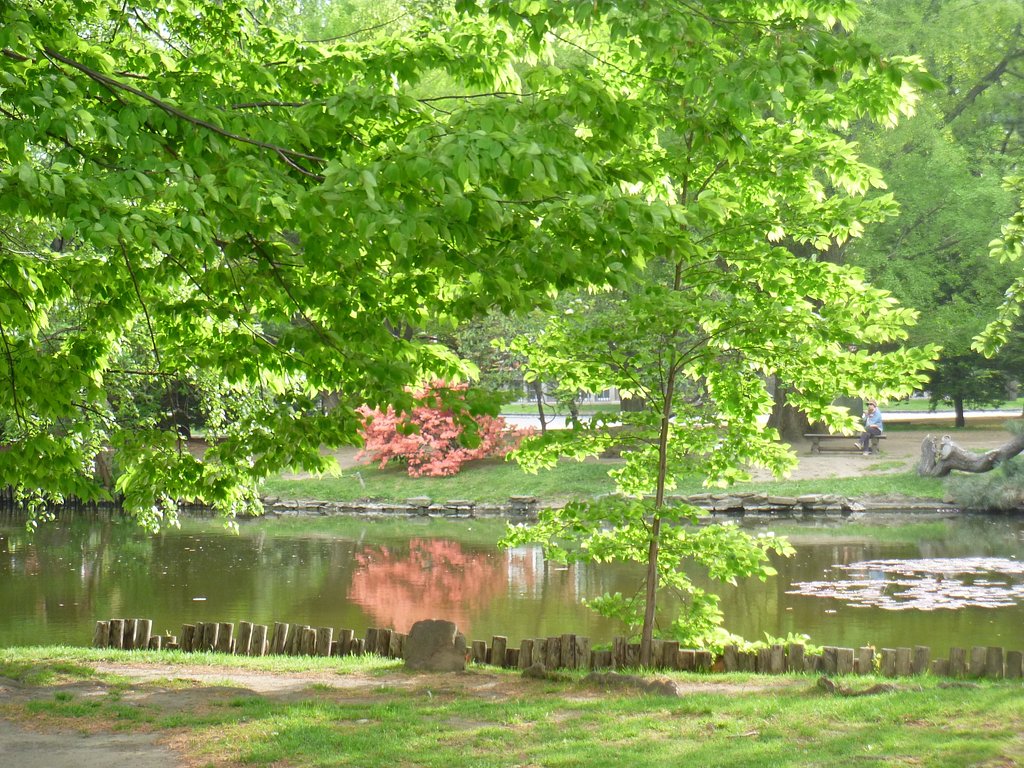 公園2