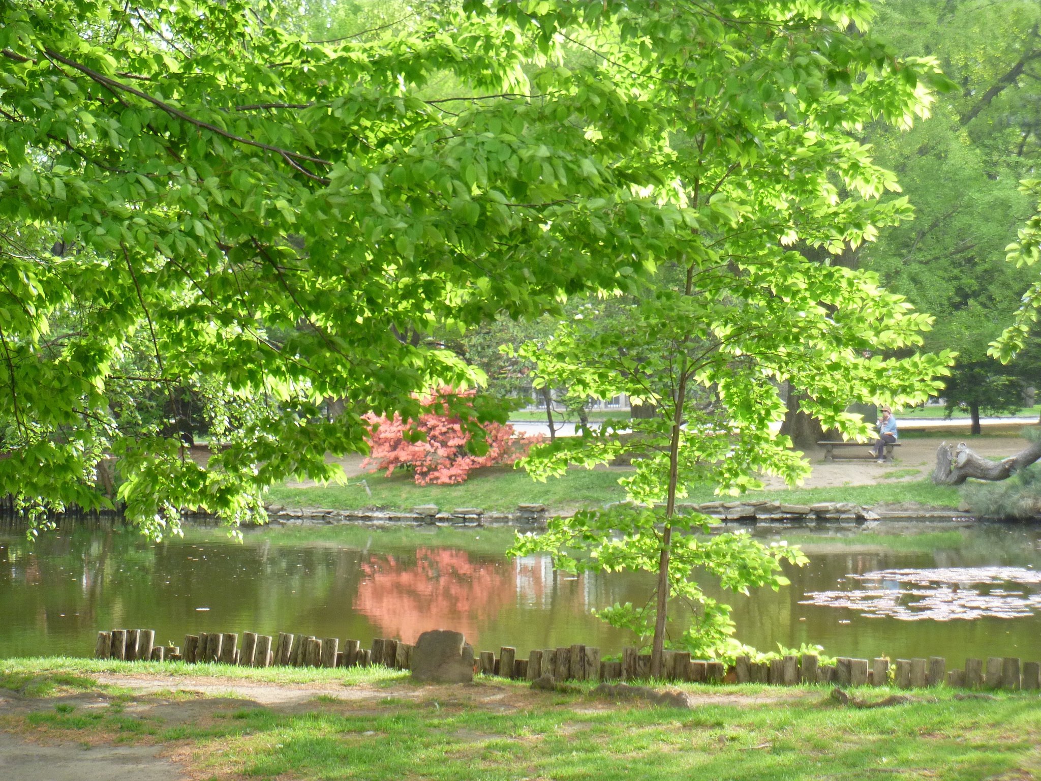 公園2