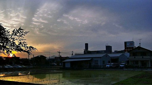定点夕焼け