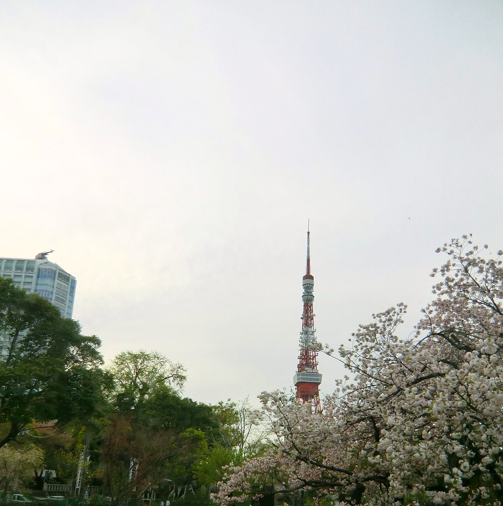 東京タワー