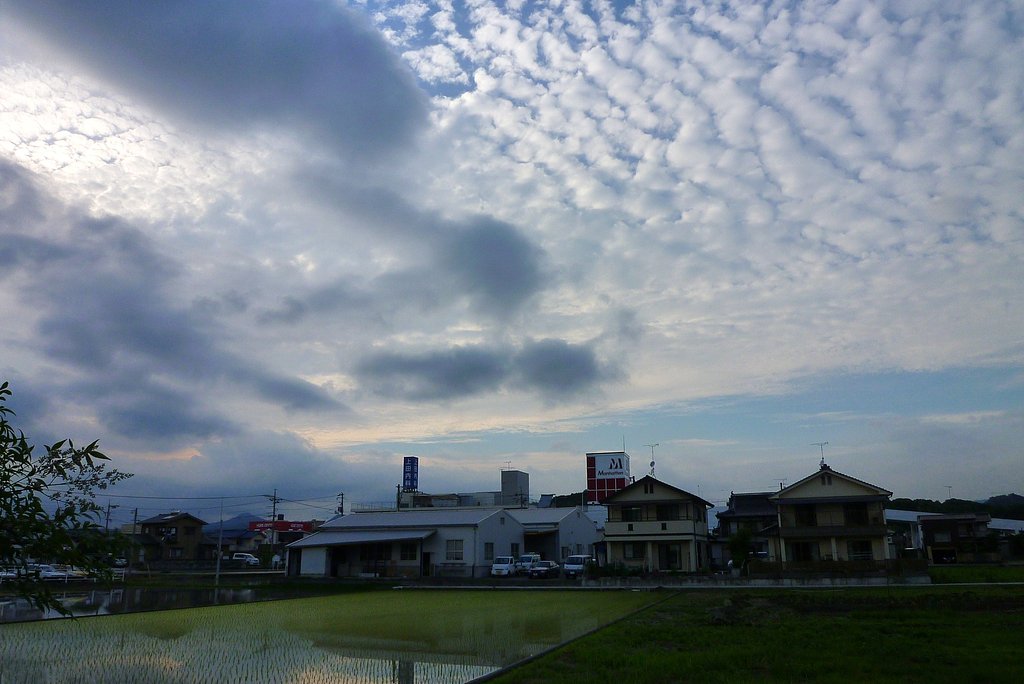 ひつじ雲