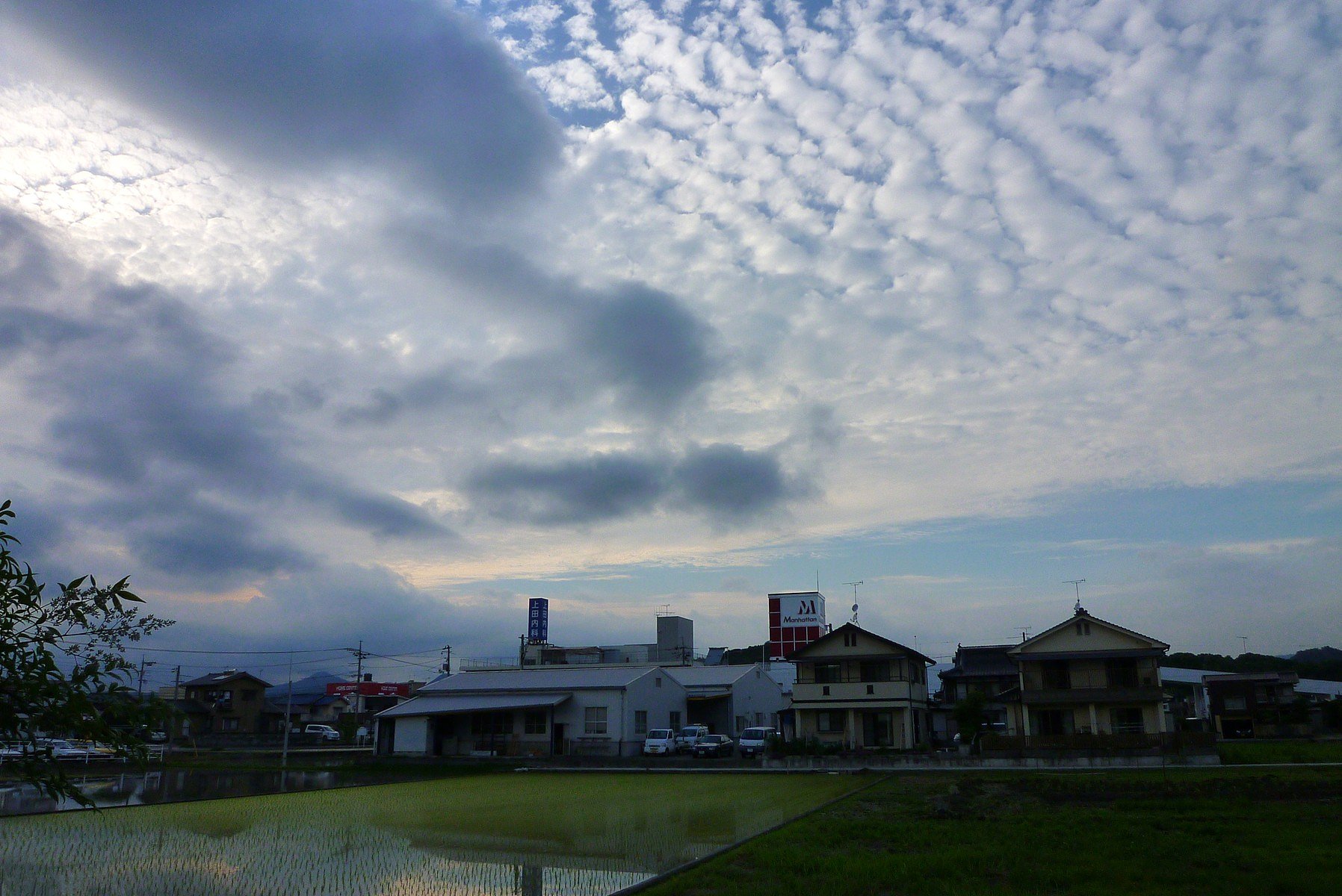 ひつじ雲