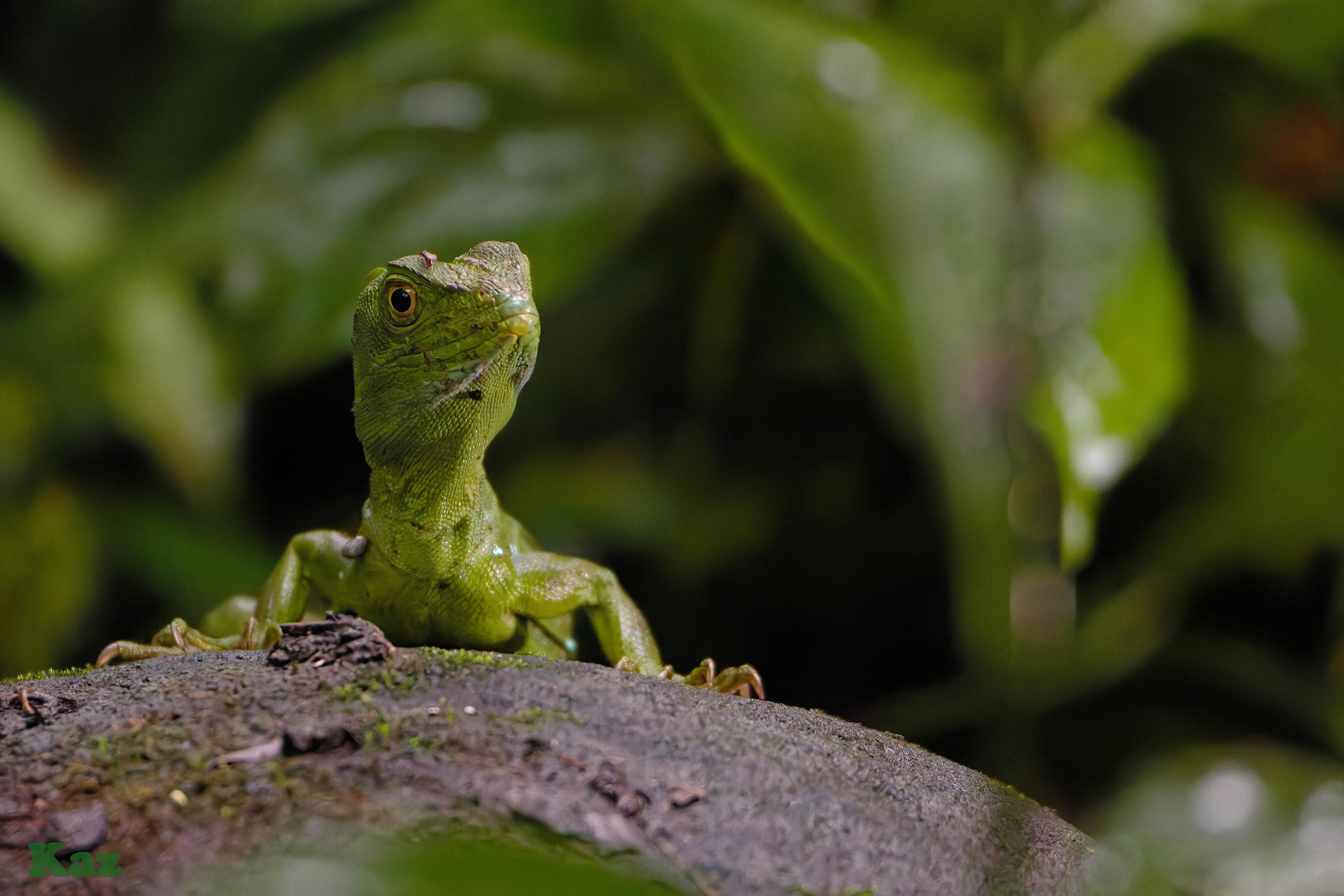 Costa Rica 05