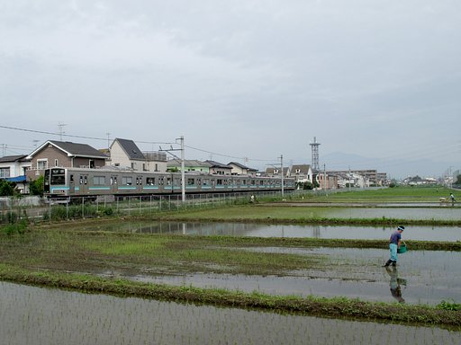 境界線