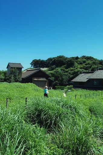 暑中見舞い