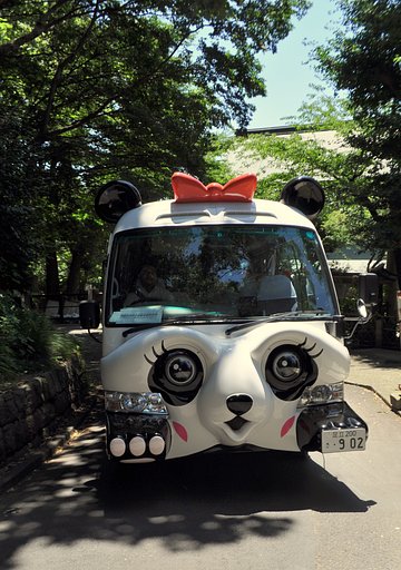 【縦撮り】パンダバス２号車